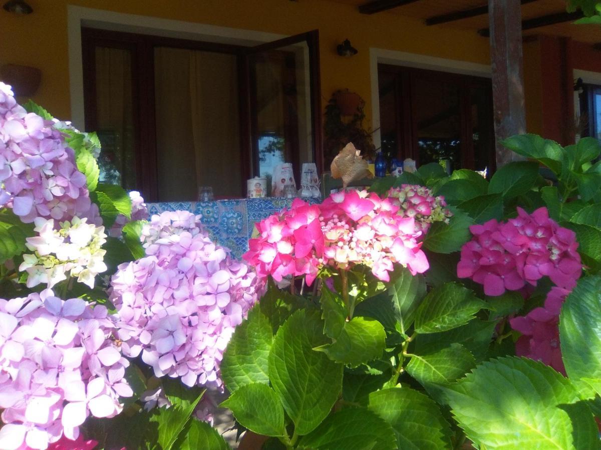 B&B Casa Per Ferie Villaggiocarovana Castiadas Luaran gambar