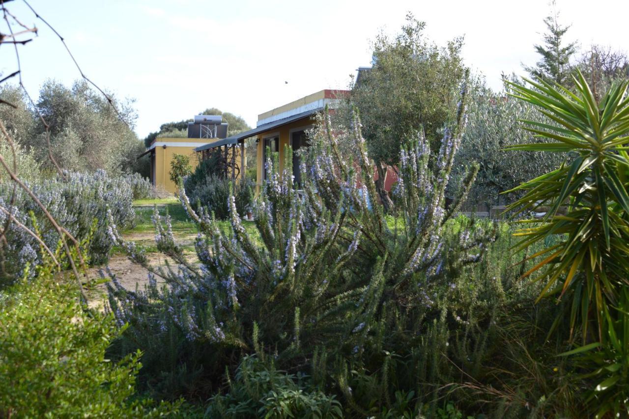 B&B Casa Per Ferie Villaggiocarovana Castiadas Luaran gambar