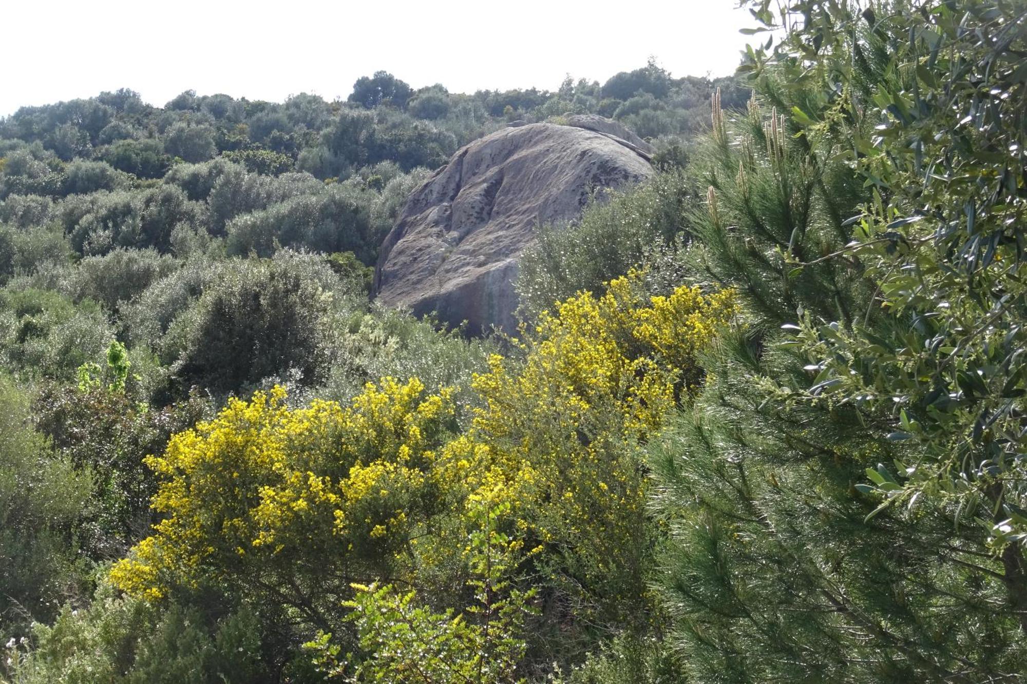 B&B Casa Per Ferie Villaggiocarovana Castiadas Luaran gambar